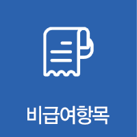 비급여 항목